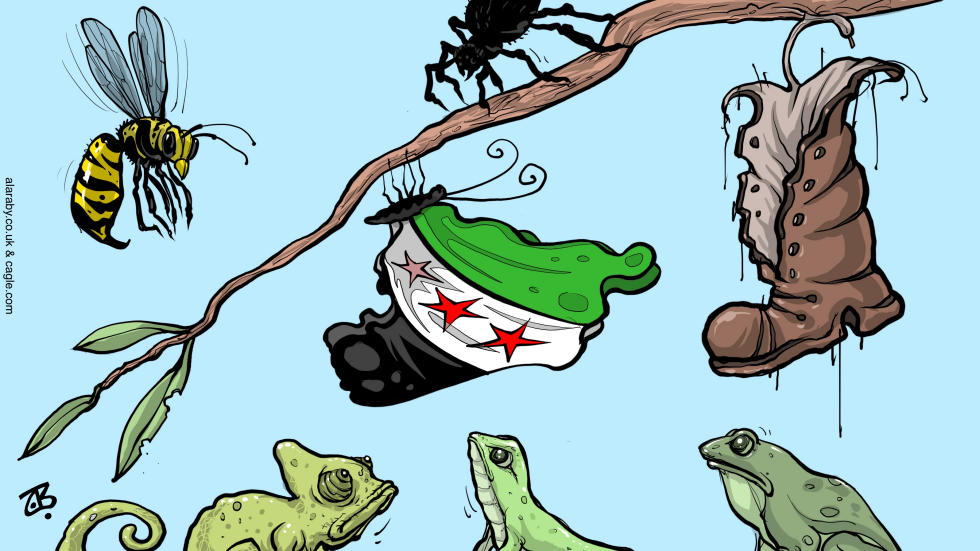 New Syria Butterfly Mideast threats Lizard frog
