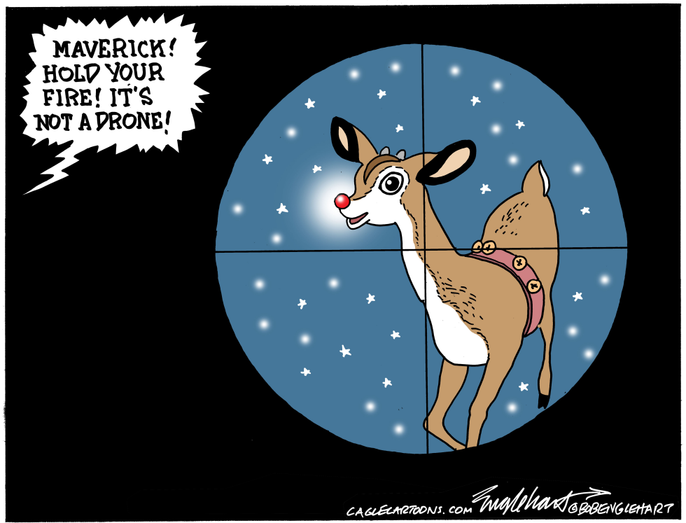 OK Here's MY Drone Cartoon