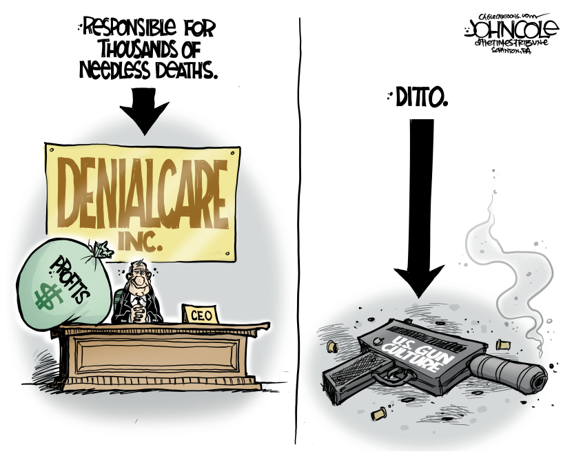 Health insurance and guns