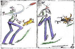 DOG CHASES FRISBEE AND RETURNS WITH DRONE by Randall Enos