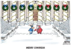 SNOWBALL FIGHT IN CONGRESS by R.J. Matson
