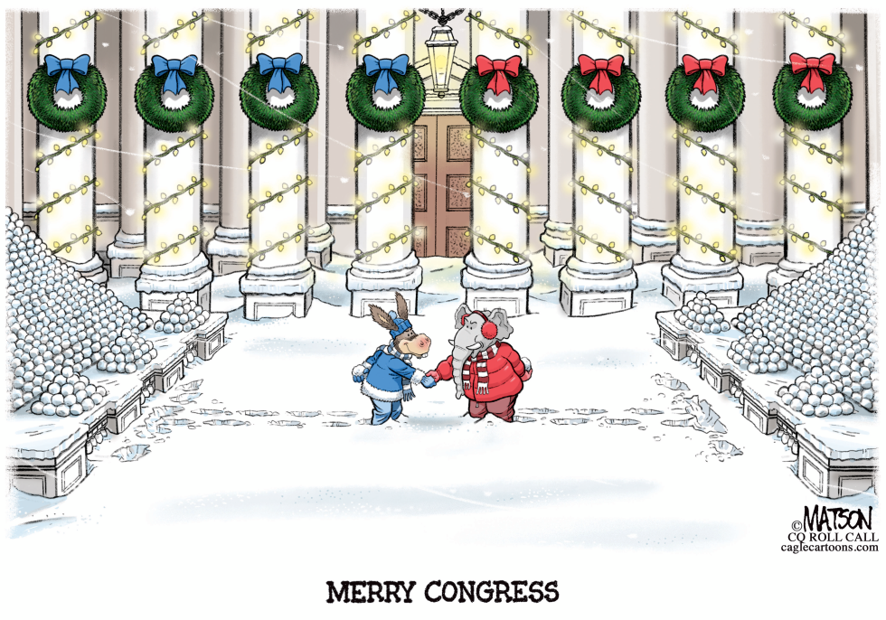 #1 SNOWBALL FIGHT IN CONGRESS by R.J. Matson