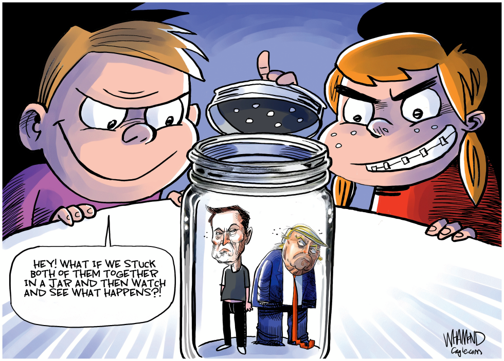 Trump and Musk: Battle of the egos