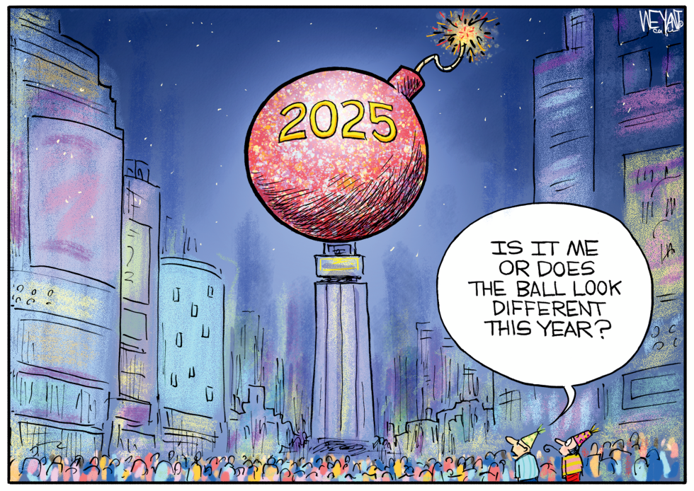 2025 New New Year's Ball