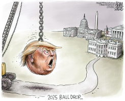 THE YEAR AHEAD WITH TRUMP IN WASHINGTON by Adam Zyglis