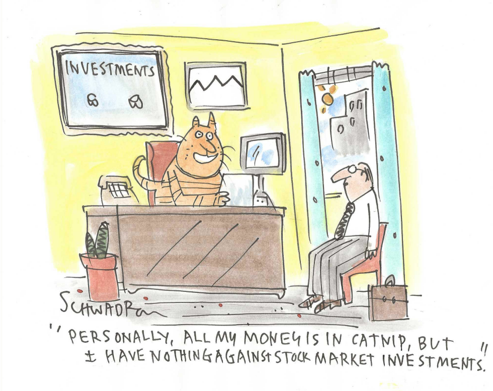 Catnip Investment