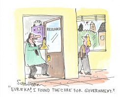 CURE FOR GOVERNMENT by Harley Schwadron