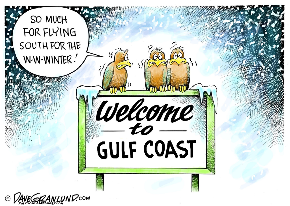 South freezing temps