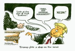 TRUMP GETS A SLAP ON THE WRIST by Jimmy Margulies
