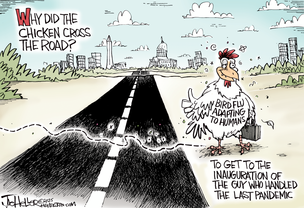 Bird Flu