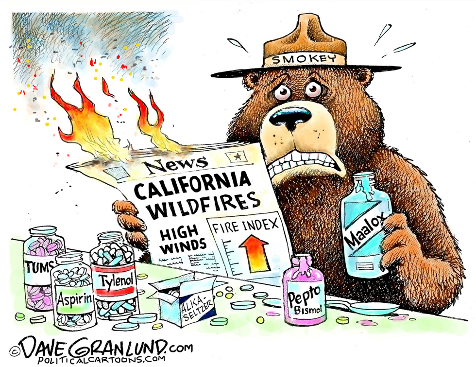 #3 CA WILDFIRES HIGH WINDS by Dave Granlund