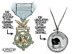 TENNESSEE MEDALS OF VALOR AND COWARDICE by John Cole