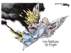 LA FIRES by Bill Day