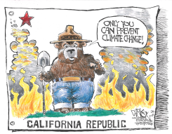 LOS ANGELES BURNS by John Darkow