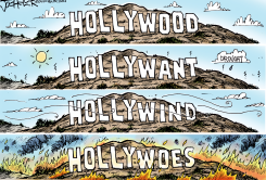 LA FIRES by Joe Heller
