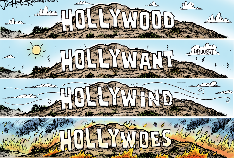 LA Fires