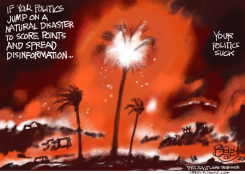 L.A. ON FIRE  by Pat Bagley
