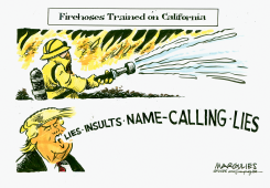 FIREHOSES TRAINED ON CALIFORNIA by Jimmy Margulies