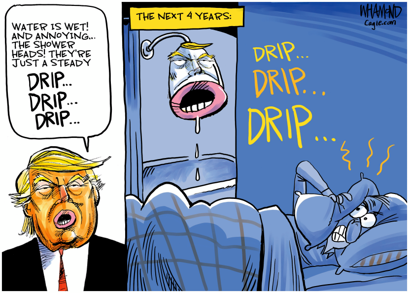 The next 4 years of Trump
