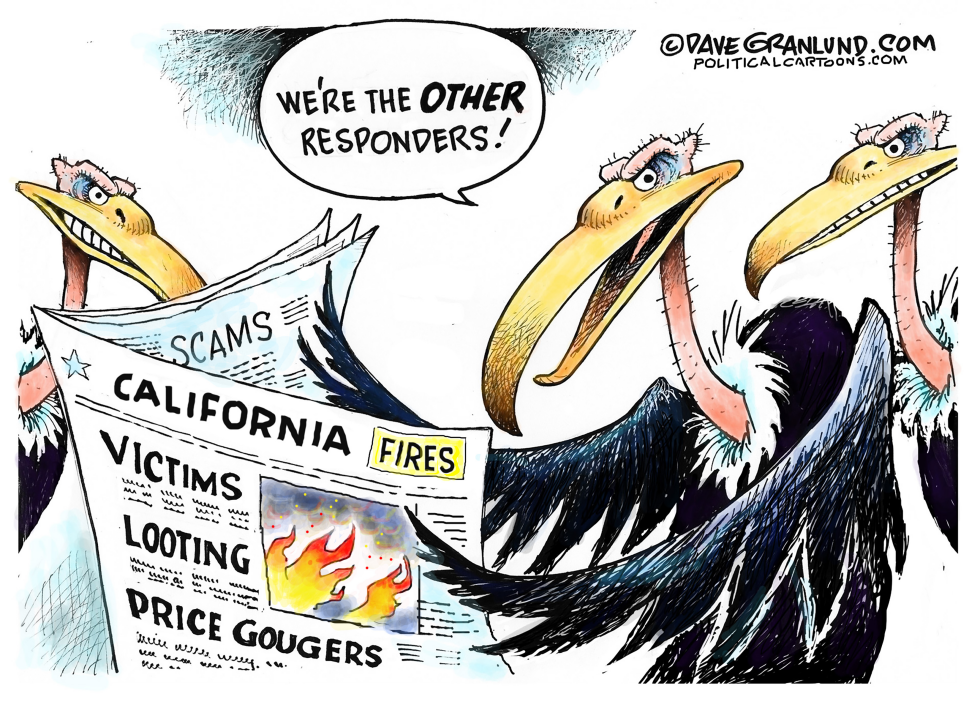 California fires and looting