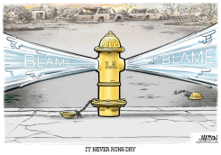 LA WILDFIRES BLAME HYDRANT by R.J. Matson