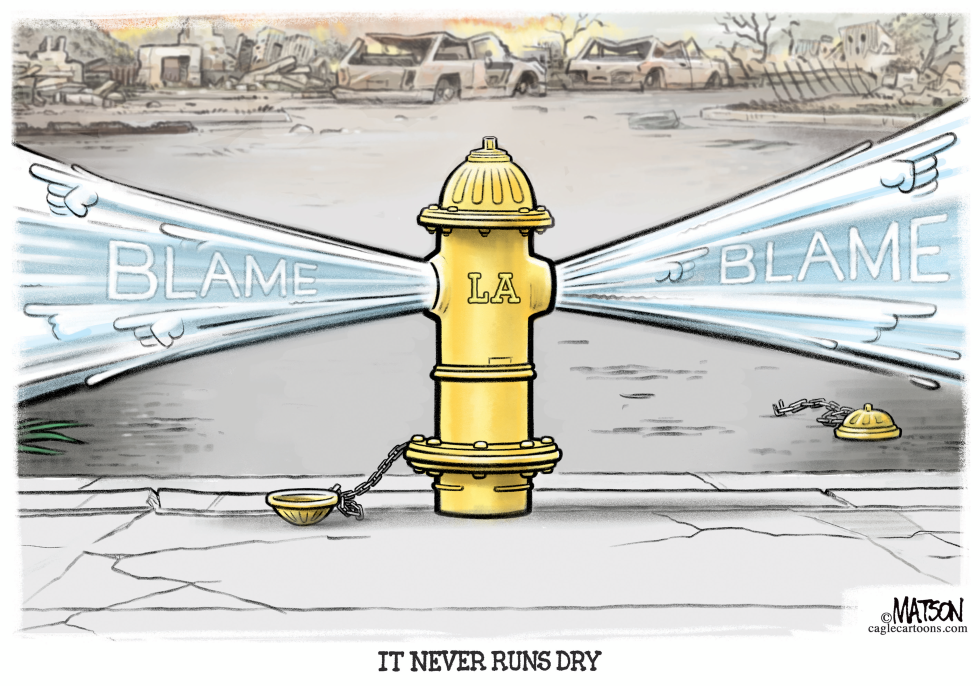 #3 LA WILDFIRES BLAME HYDRANT by R.J. Matson