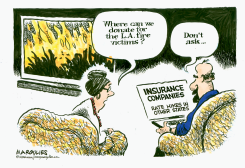 L.A. FIRES AND INSURANCE RATES ELSEWHERE by Jimmy Margulies