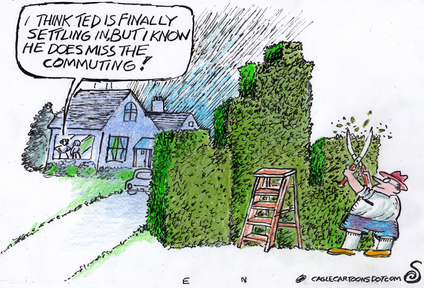 MAN TRIMS HIS HEDGE INTO A CITY SCAPE