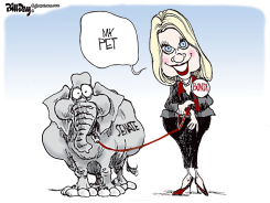 BONDI CONFIRMATION HEARINGS by Bill Day