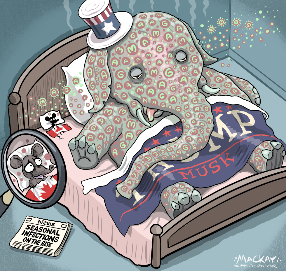 CANADA: MAGA infected Elephant worries mouse