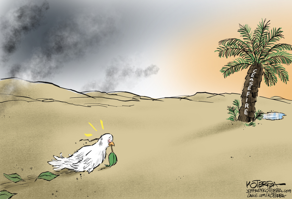 #2 DOVE OF PEACE FINDS CEASEFIRE by Jeff Koterba