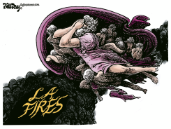 LA FIRES by Bill Day