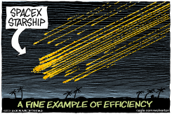 EFFICIENTLY EXPLODING SPACEX STARSHIP by Monte Wolverton