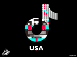 TIKTOK BAN by Osama Hajjaj