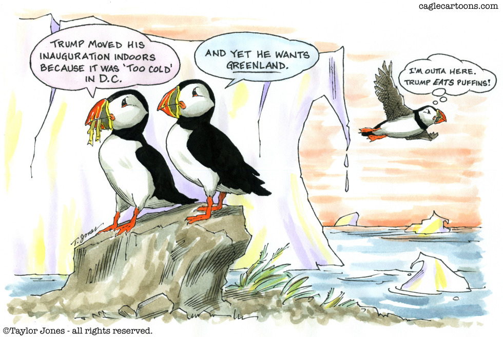 Greenland puffins and Trump