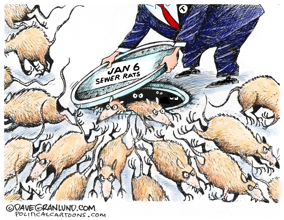 Trump Jan 6 pardons