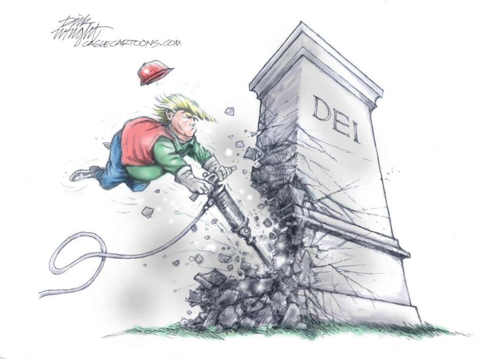 Trum Taking Down DEI