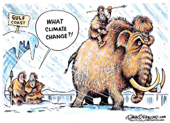 CLIMATE CHANGE GULF SNOW by Dave Granlund