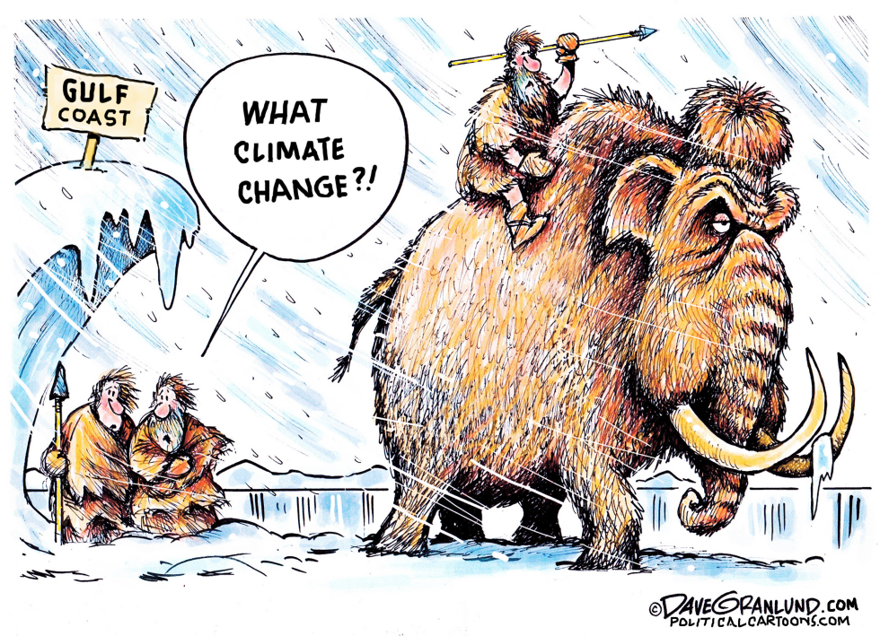 #2 CLIMATE CHANGE GULF SNOW by Dave Granlund