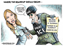 ICE AND ROUNDUP by Dave Granlund