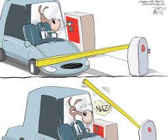 DEMS THINK EVERYTHING IS NAZI by Gary McCoy