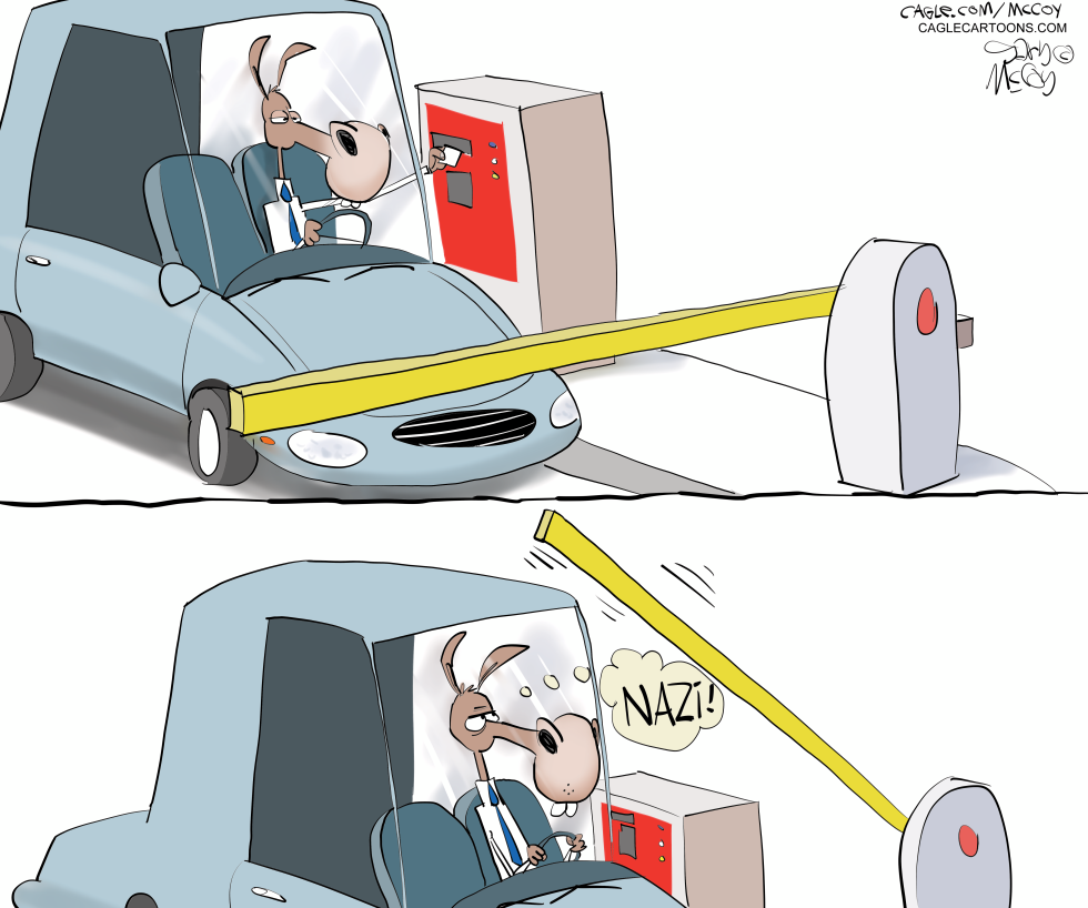 Dems Think Everything is Nazi