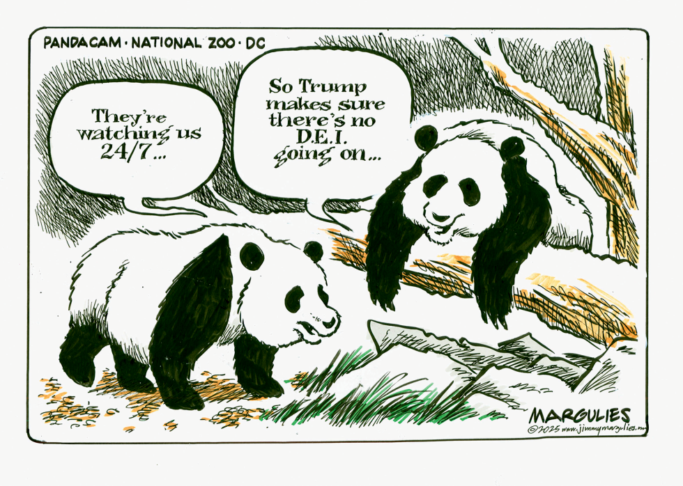Trump checking for DEI