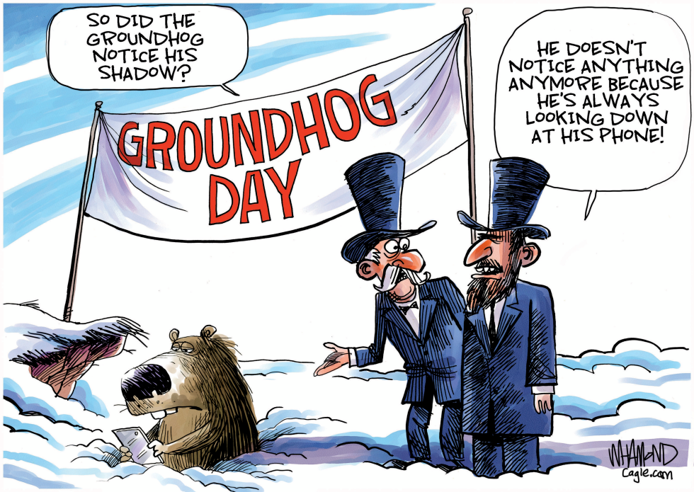 #3 MODERN GROUNDHOG by Dave Whamond