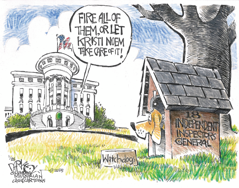 Fire the watchdogs