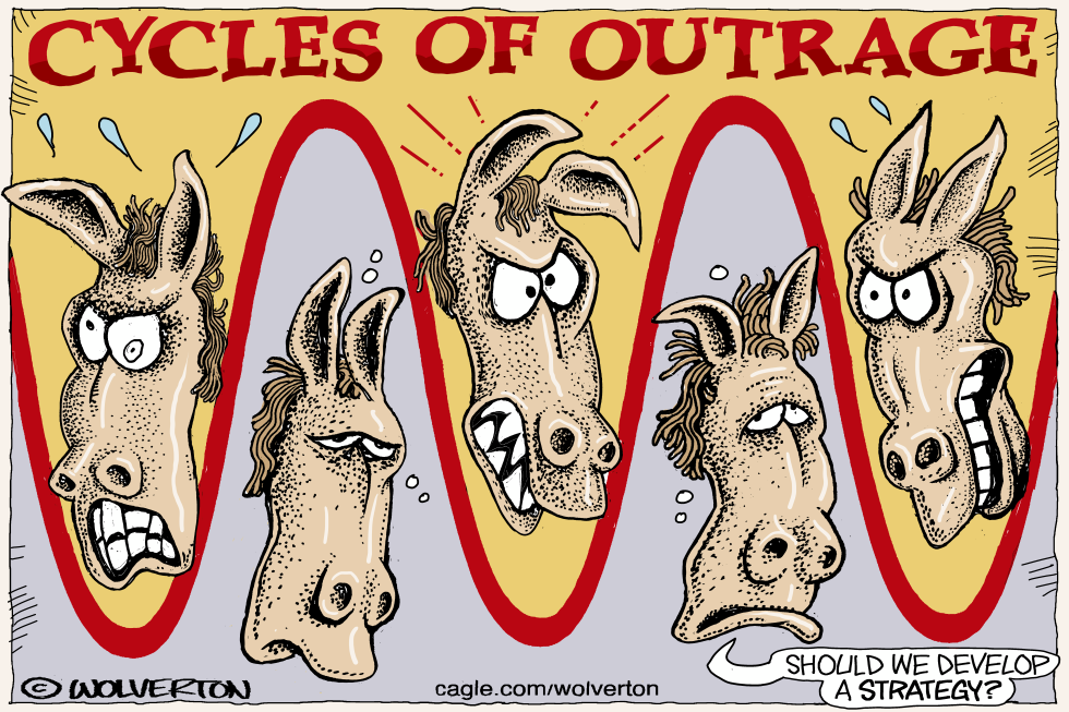 Cycles of Democratic Outrage