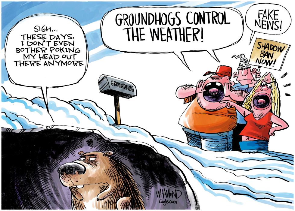 #2 GROUNDHOG CONSPIRACY THEORIES by Dave Whamond