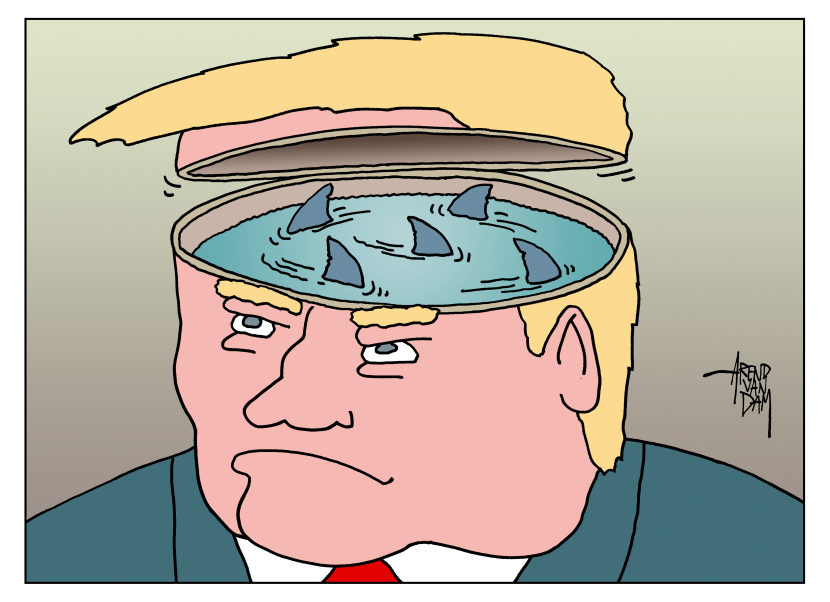 Trumps brains