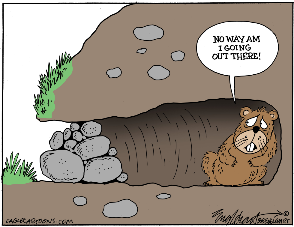 #3 GROUNDHOG STAYS HOME THIS YEAR by Bob Englehart