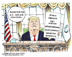 TRUMP AND DC CRASH BLAME by Dave Granlund
